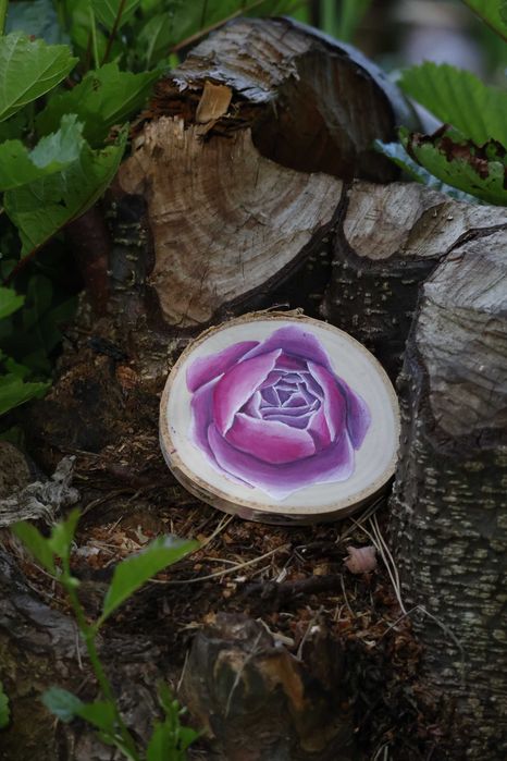 Magnes na lodówkę róża angielska