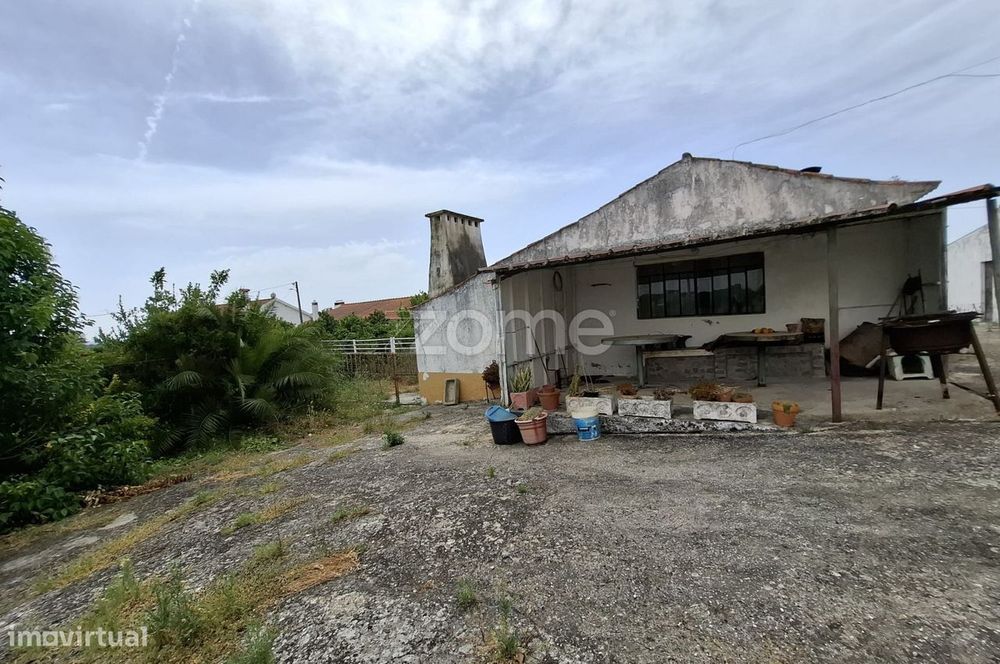 Quinta com Potencial em Santarém