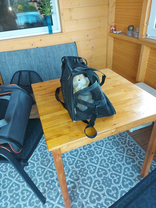 Transporter dla zwierząt