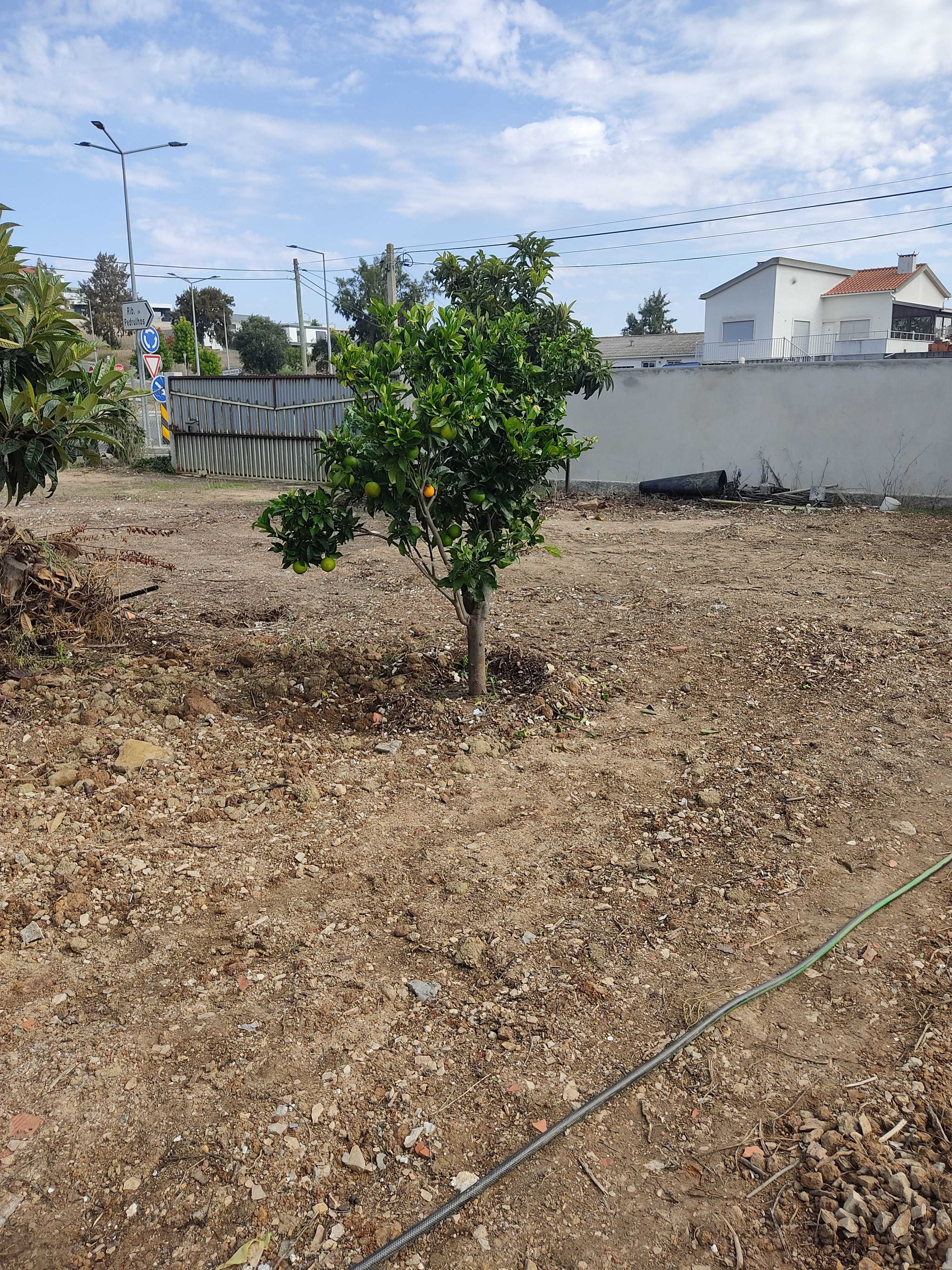 Vende-se /Aluga-se terreno com todas as valências, agua luz e esgotos