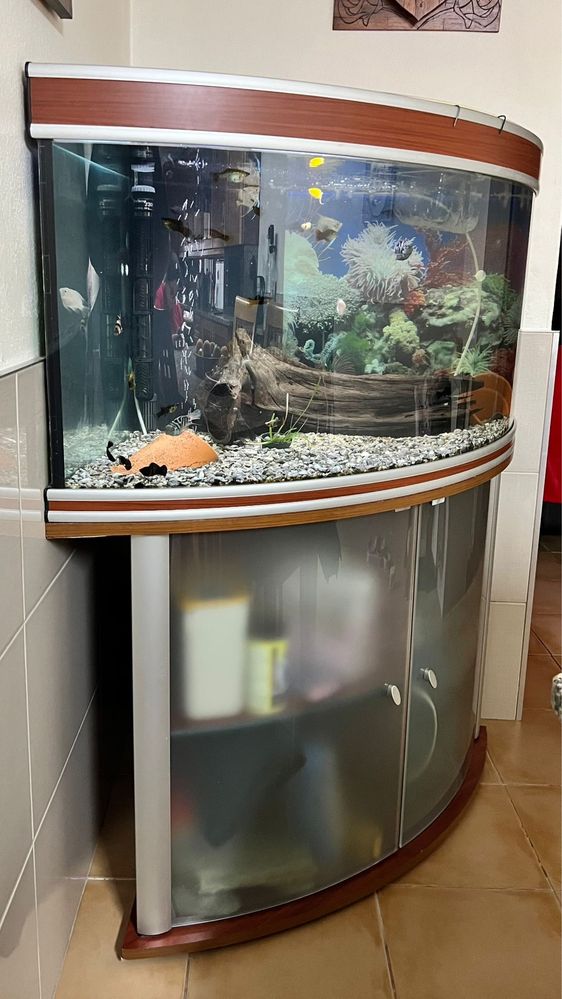 Aquario com movel panoramico