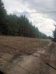 Wilcza Wola dzialka budowlana 1,1 ha