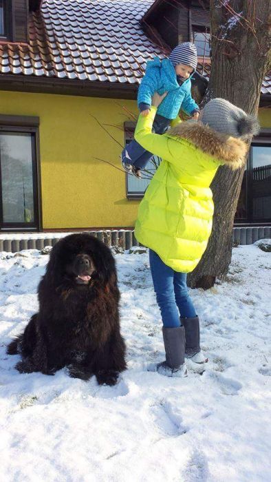Kurtka damska limonkowa