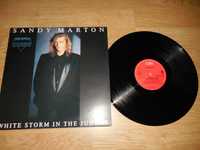 SANDY MARTON 'White storm in the jungle' - maxi - italo disco