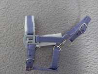 Kantar hobby horse