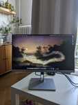 Monitor Hp E233 Ips Full hd