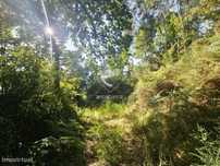 Terreno Rustico