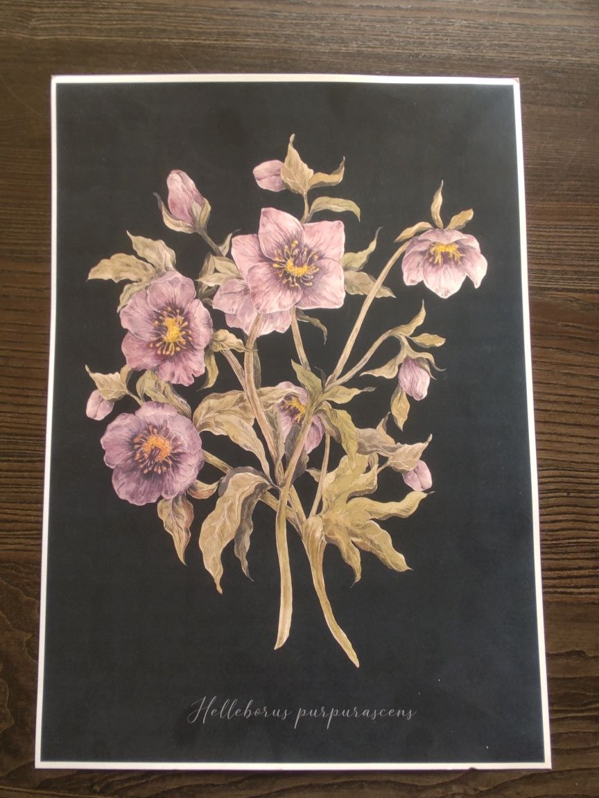Plakat różowe kwiatki 30x42 cm