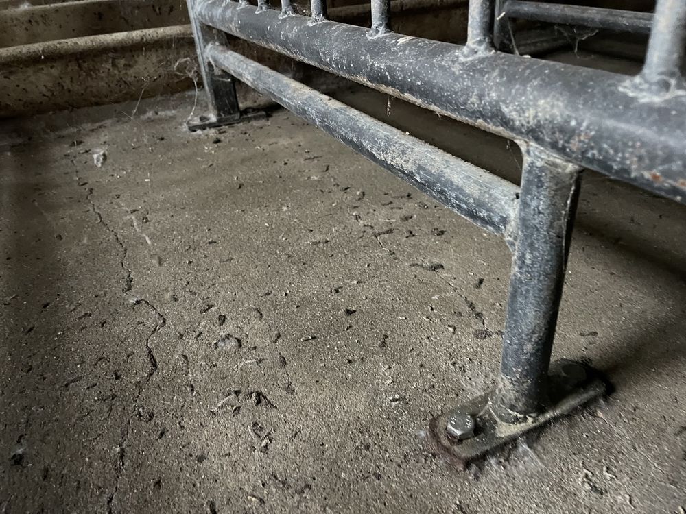 Pojedynki dla loch - do inseminacji - IDEALNY STAN - nowa dostawa 150