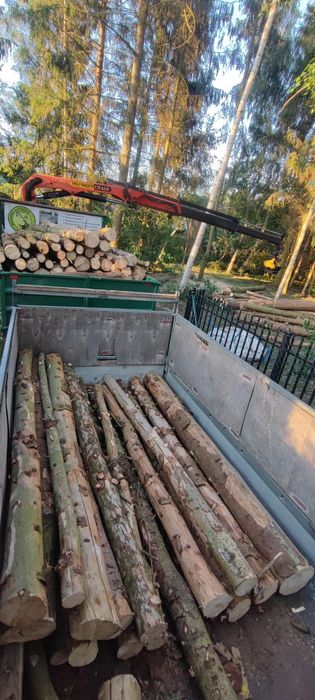 Wycinka drzew, wywóz zagrożeń drzewostanu Wywrót, wywrot,
