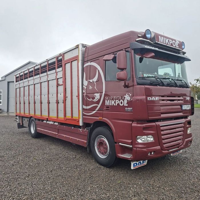 DAF XF 105.460 Waga Elektroniczna  Do przewozu Bydła Zwierząt Żywca