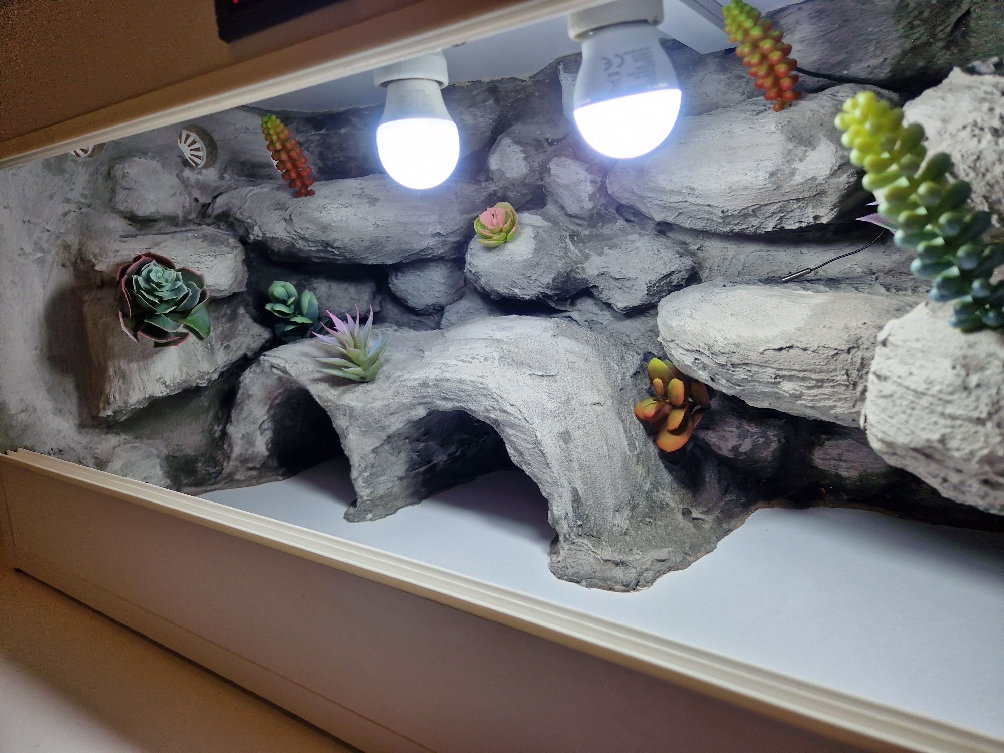 Terrarium dla gekonów gekon 100x40x40 na zamówienie