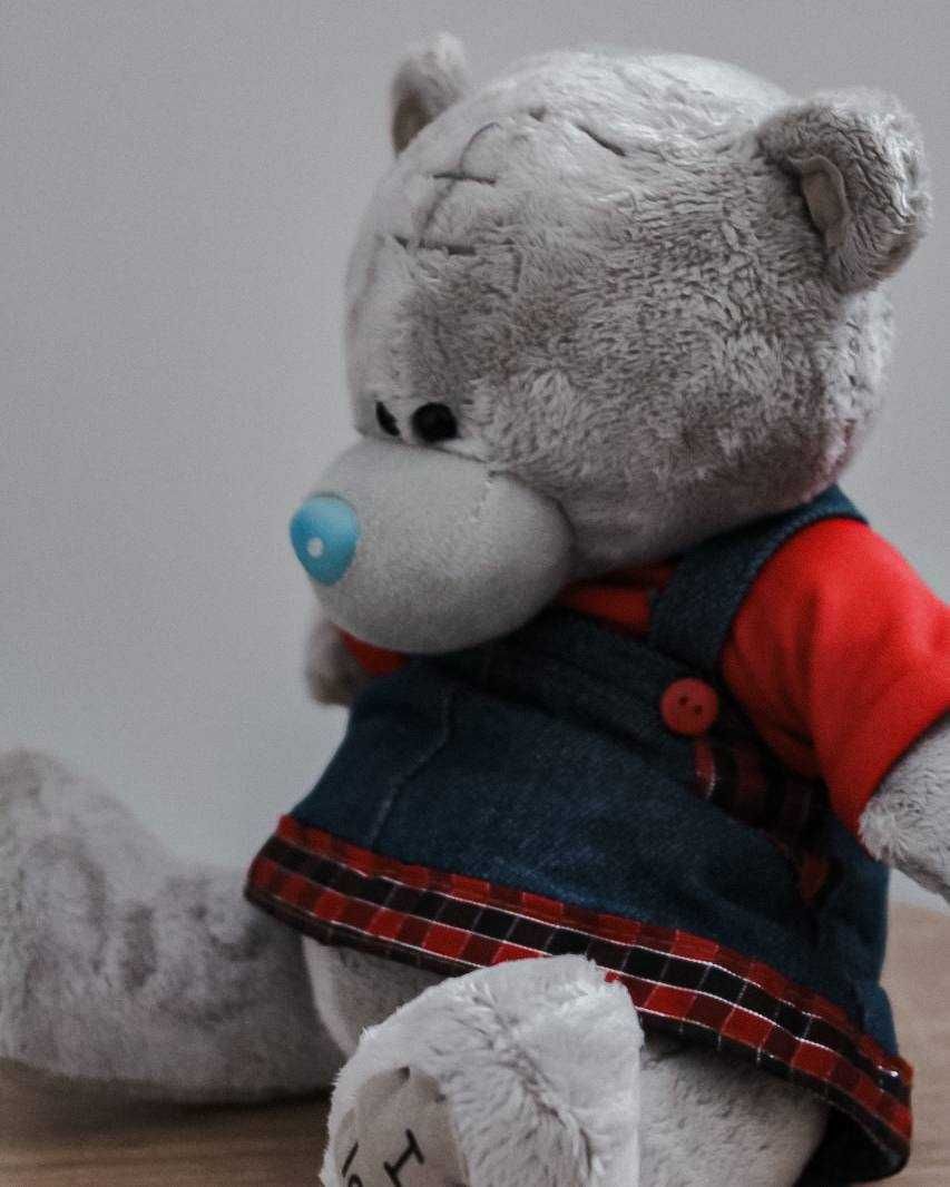 Мініатюрний ведмедик Teddy