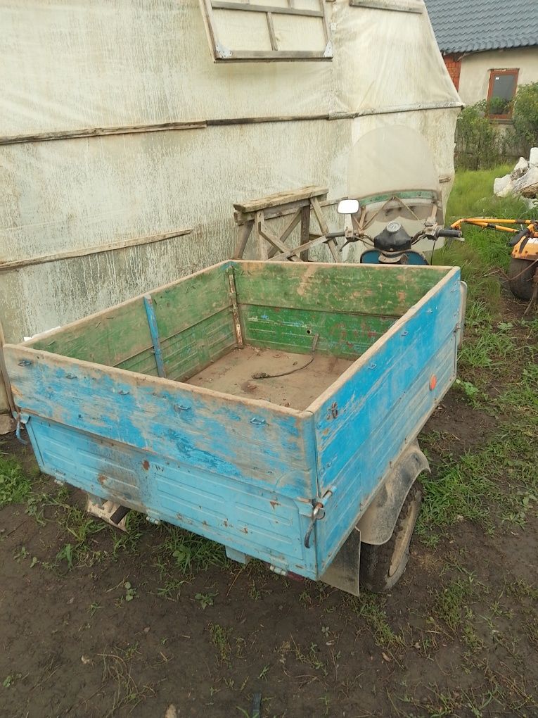 Продам муравей м2