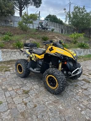Can Am  Reenegade 1000XXC