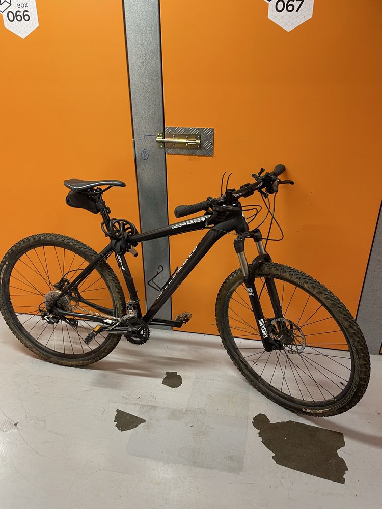 specialized rockhopper pro 29