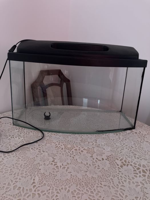 akwarium , terarium 43 l