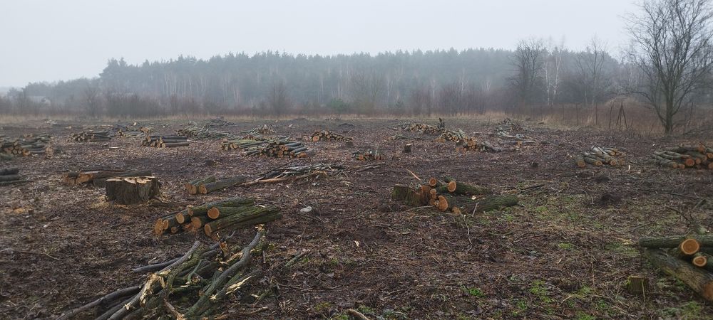 Zakładanie trawników wycinka równanie i odwodniene terenu