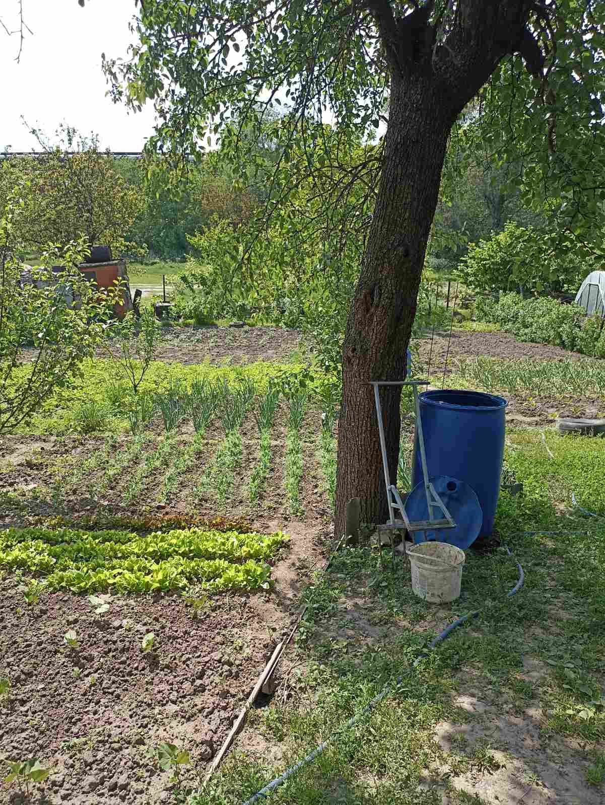 Продается дом  в районе Колеусовской