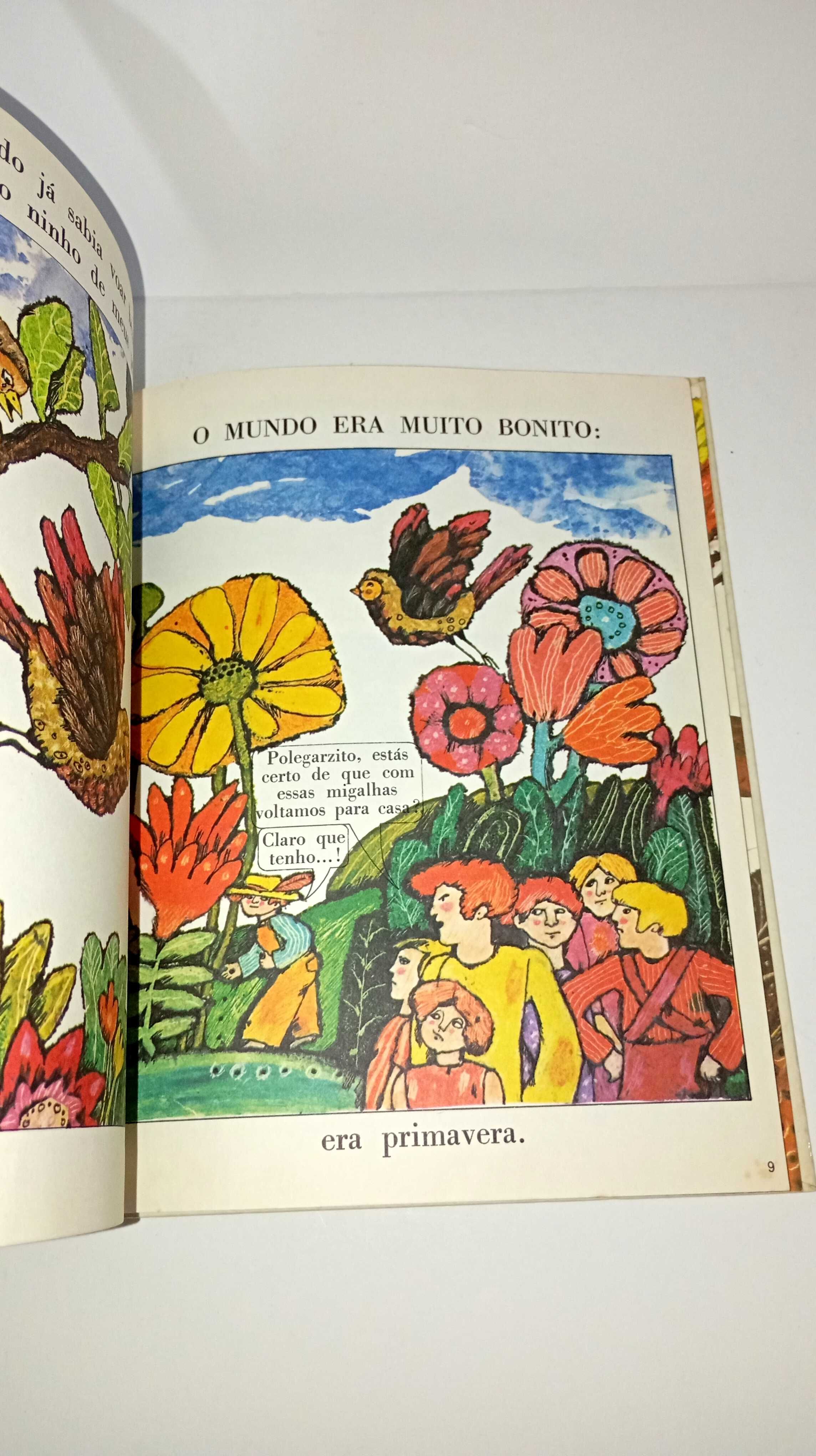 Sou um Pássaro - Primeira Biblioteca Despertar