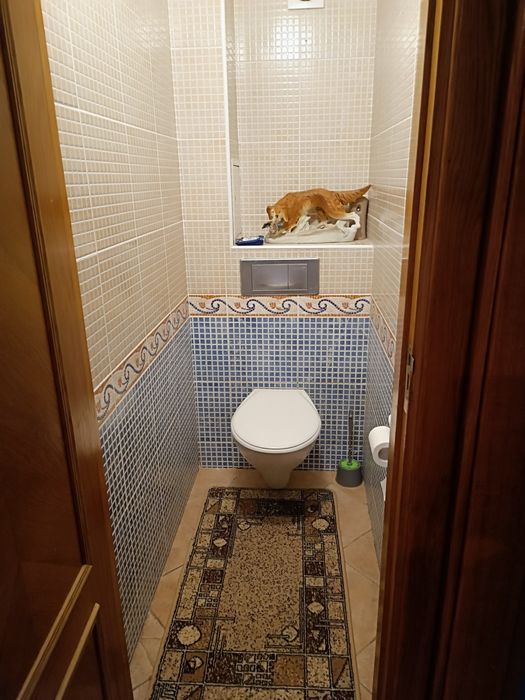 3 кімн квартира Борщагівка,  Леся Курбаса