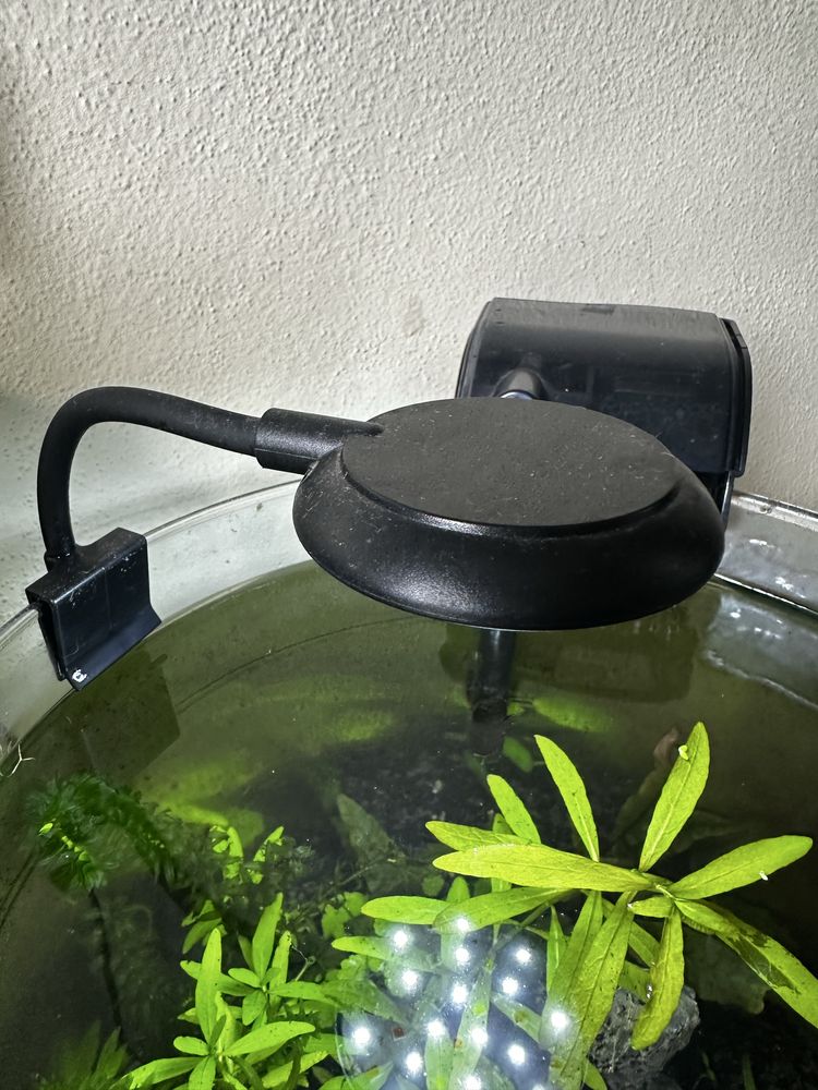Aquario completo