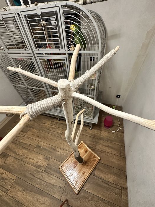 Stojaki dla papug z litego drewna – na zamówienie!