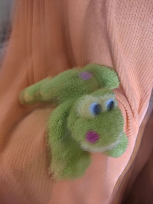 Peluche Sapinho Fofo, bom estado,  usado pouco.