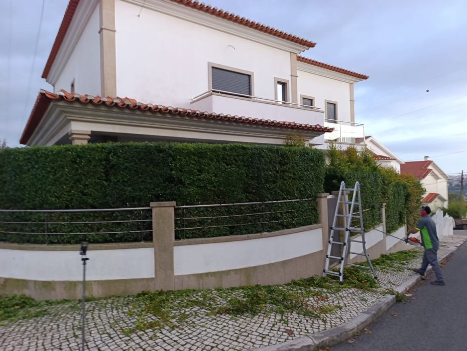 Temos serviços de jardins