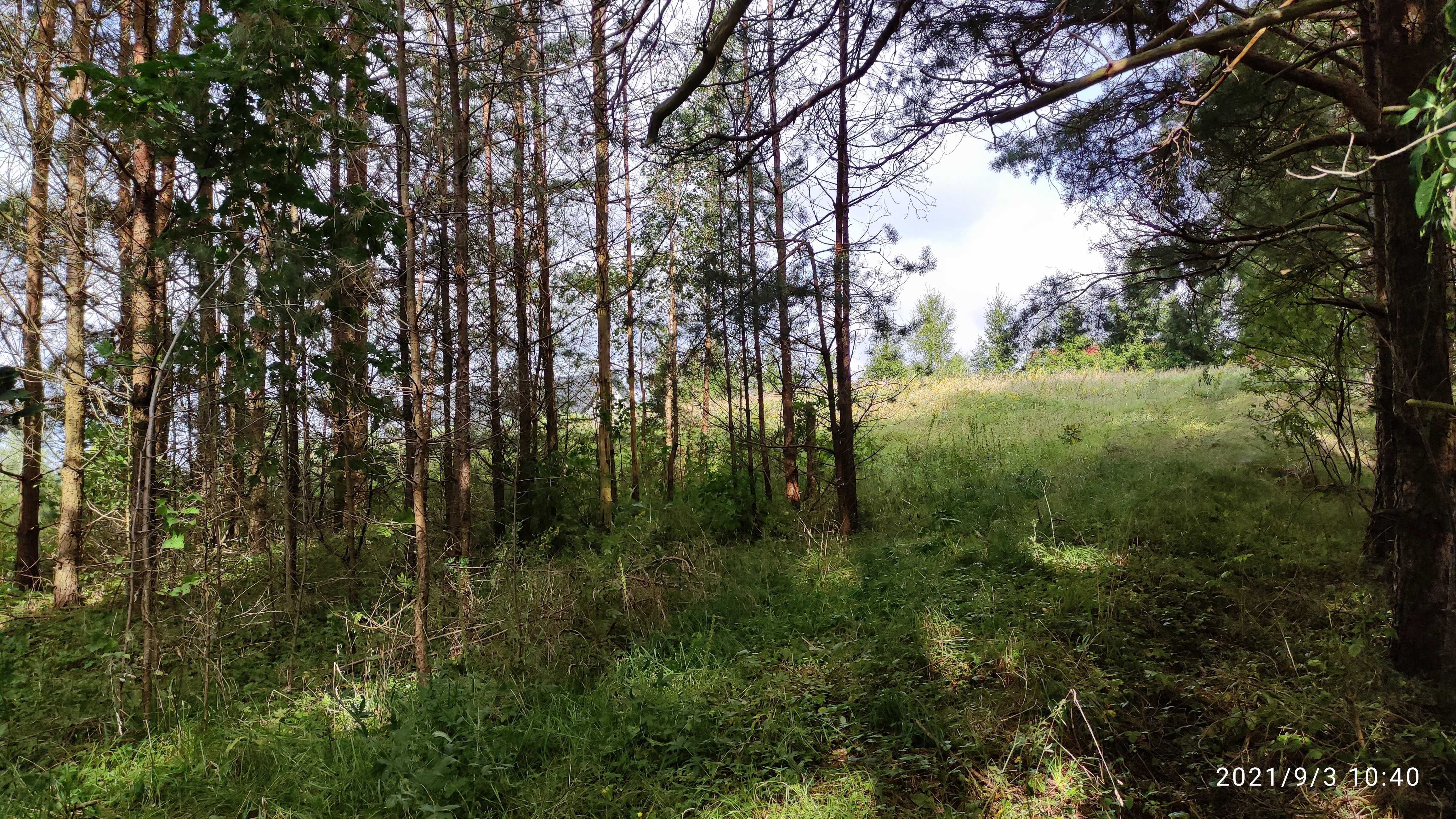 Działka budowlana - Szurpiły, Suwalski Park Krajobrazowy