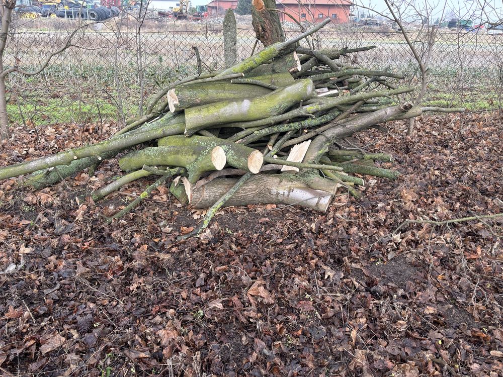 Drzewo na opał sezonowane