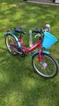Rower  Pegasus 20 cali przerzutki