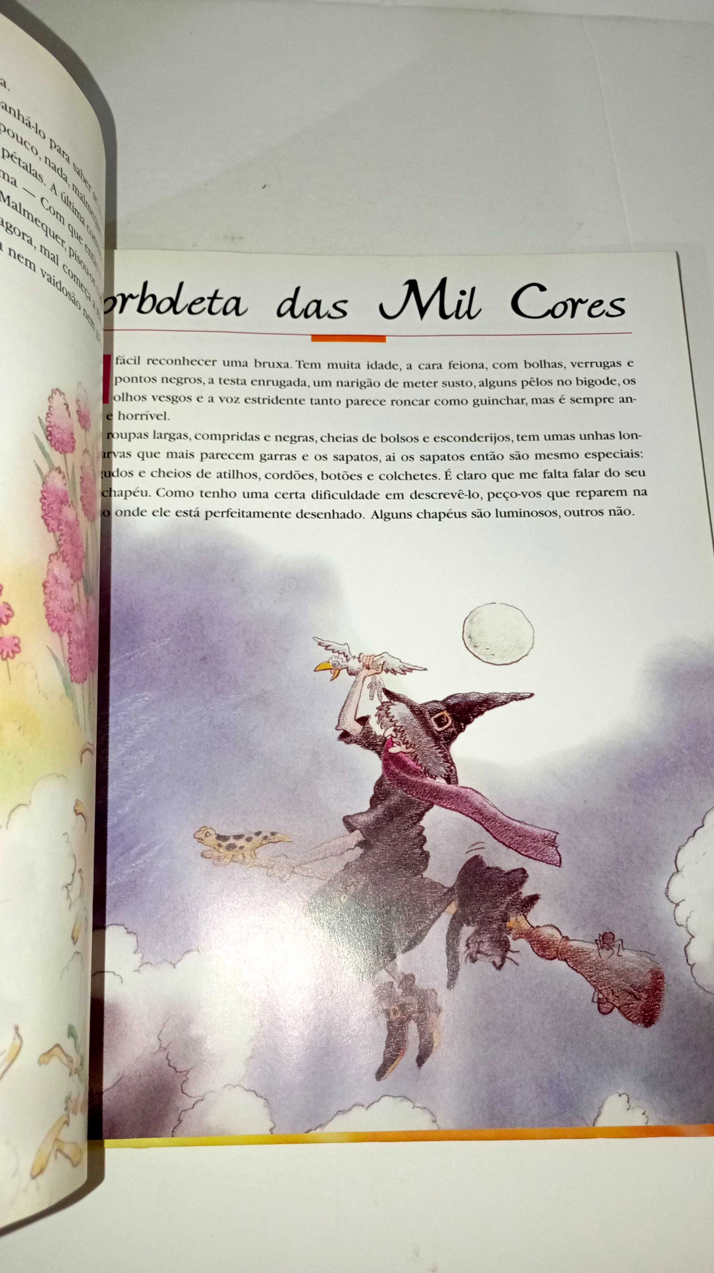 Voar com os pés no Chão