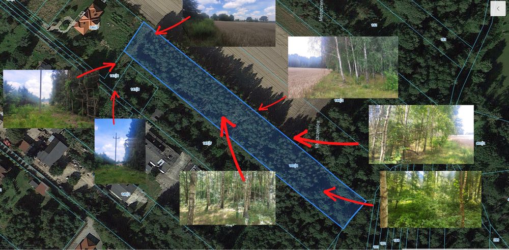 Wyjątkowa dzialka wśród natury- Ługi k. Strykowa | 4614 m² | 66 zł/m²
