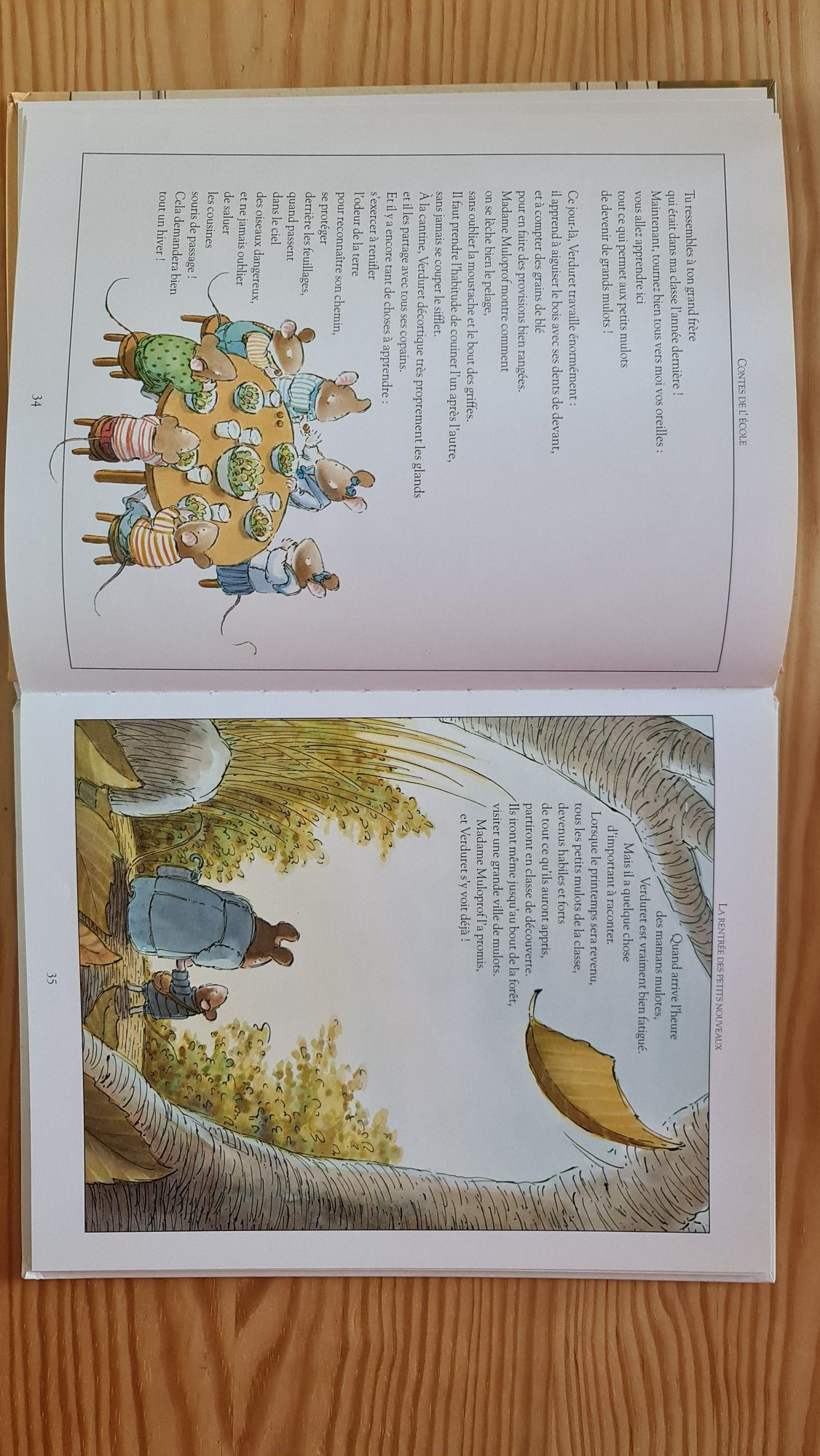 Contes de l'école książka po francusku livre en français