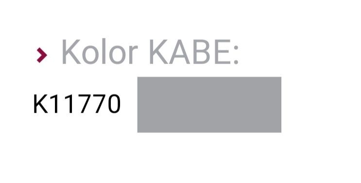 Tynk silikonowy Kabe 25 kg śiwy kolor