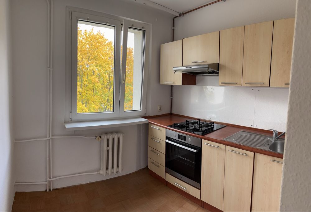 Wynajem mieszkanie 2 pokoje centrum Opole