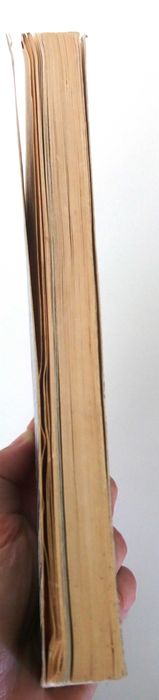 Кайко Т. С высоты Токийской башни.