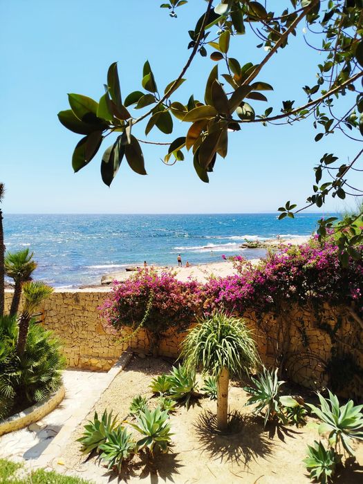 Імміграція  в Іспанію ( Аліканте)