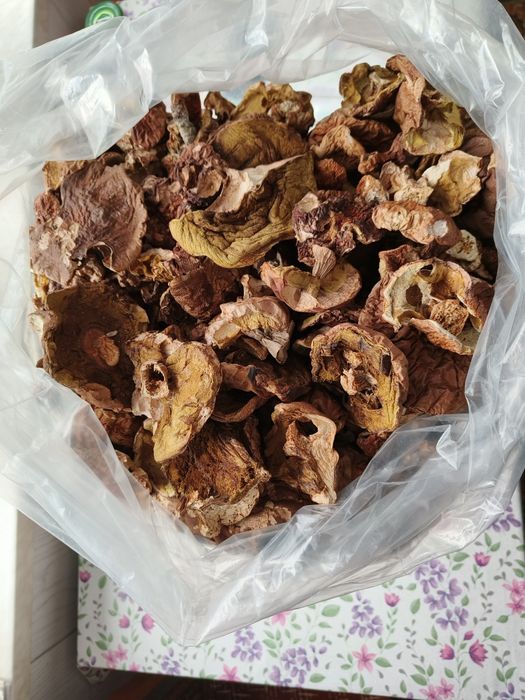 Borowik prawdziwek suszony II klasa