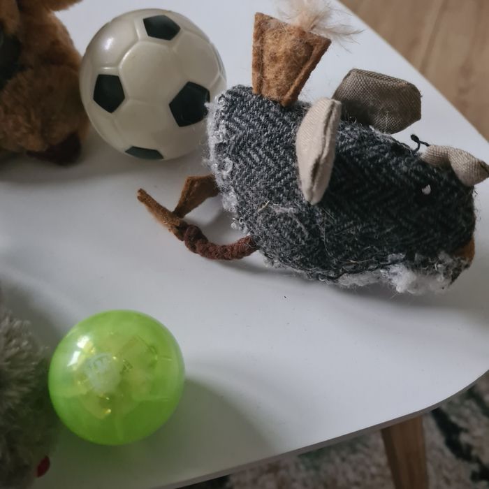 Zabawki dla kotka