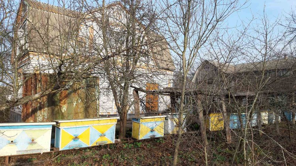 Продається будинок в с.Туровець Житомирської обл.