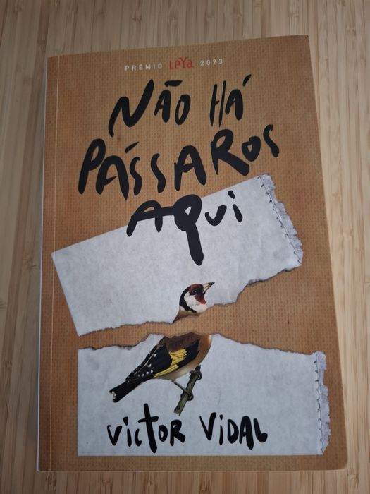 Victor Vidal - Não há Pássaros Aqui
