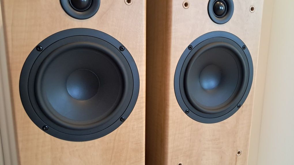 Kolumny / głośniki podłogowe TANNOY F4