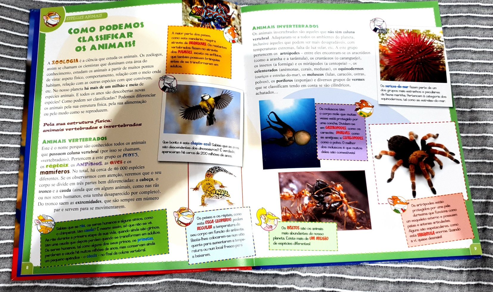 Livro  "Atlas dos Animais" de Gerônimo Stilton