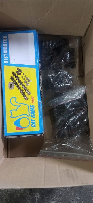 Sprężyny zaworowe Megane 3 RS F4R874  tuning