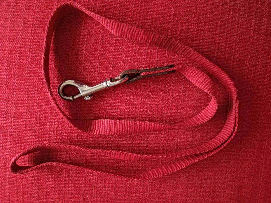 Trela para cão vermelha 1m