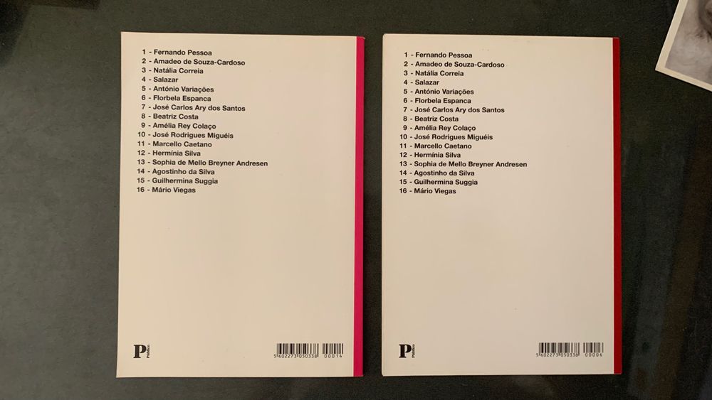 Livros cadernos bibliográficos Florbela Espanca e Agostinho da Silva