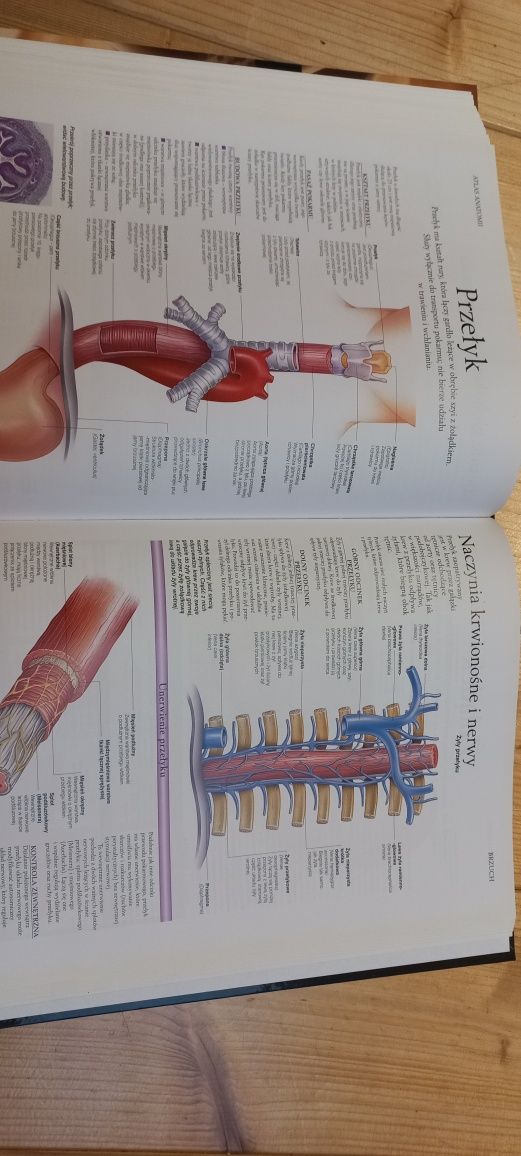 "Atlas anatomii"  Ciało człowieka : budowa i funkcjonowanie P. Abraham