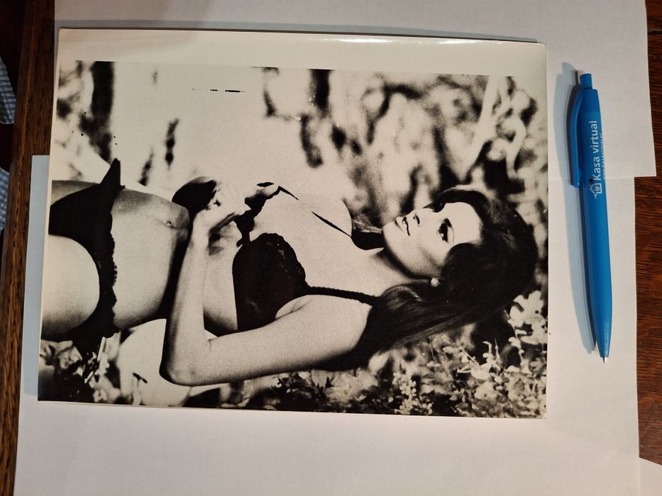 Fotos de imprensa Raquel welch